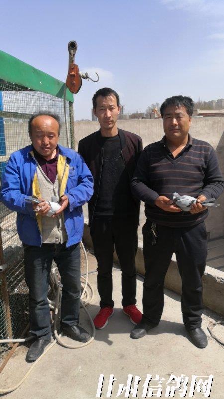 榆中县和平镇飞翔赛鸽俱乐部长武大赛前三名风采