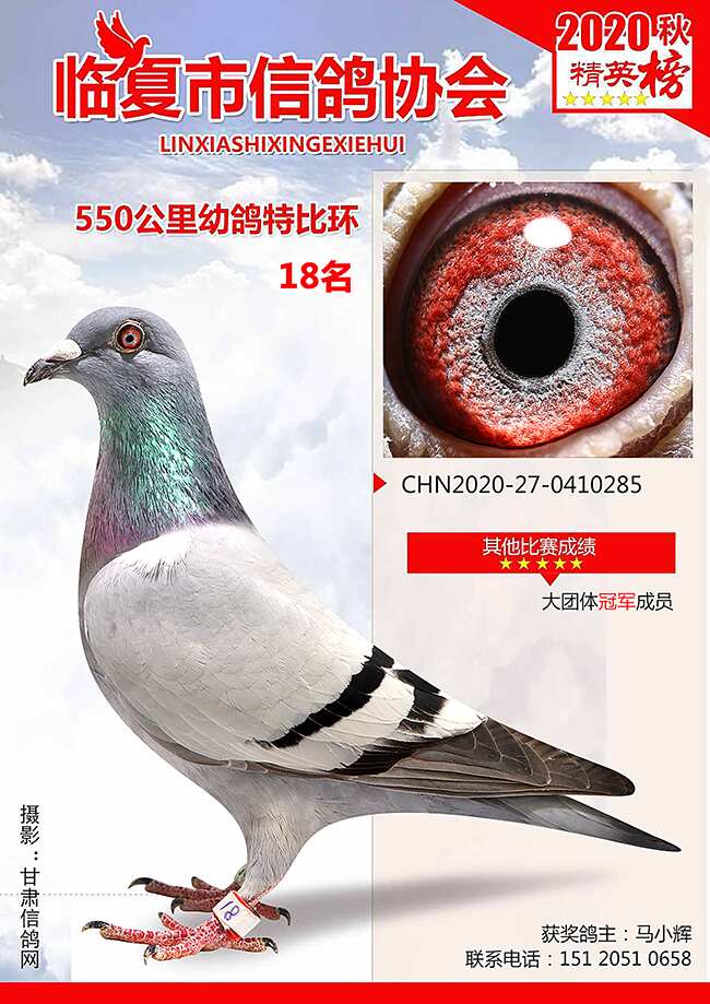 临夏市信鸽运动协会2020年秋季特比环获奖鸽(1-80)
