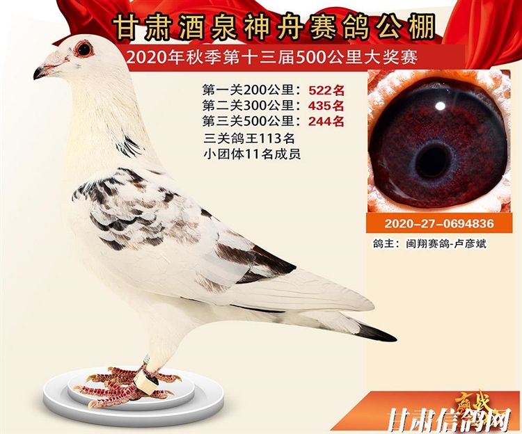 甘肃酒泉神舟赛鸽公棚-甘肃信鸽网