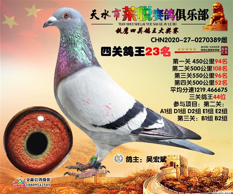 天水市莱悦赛鸽俱乐部铁鹰四关鸽王大奖赛优胜鸽欣赏150名