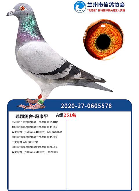 甘肃全顺翔赛鸽公棚重要通知