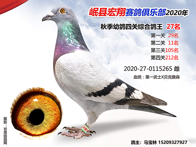 岷县宏翔赛鸽俱乐部2020年秋季四关鸽王-甘肃信鸽网