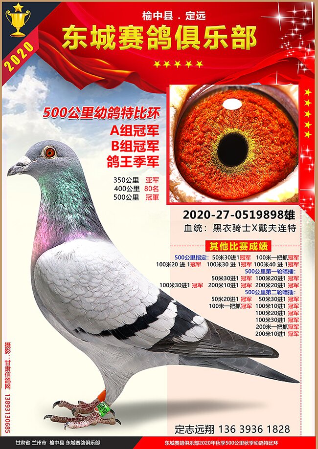 榆中东城赛鸽俱乐部2020年秋季特比环获奖鸽